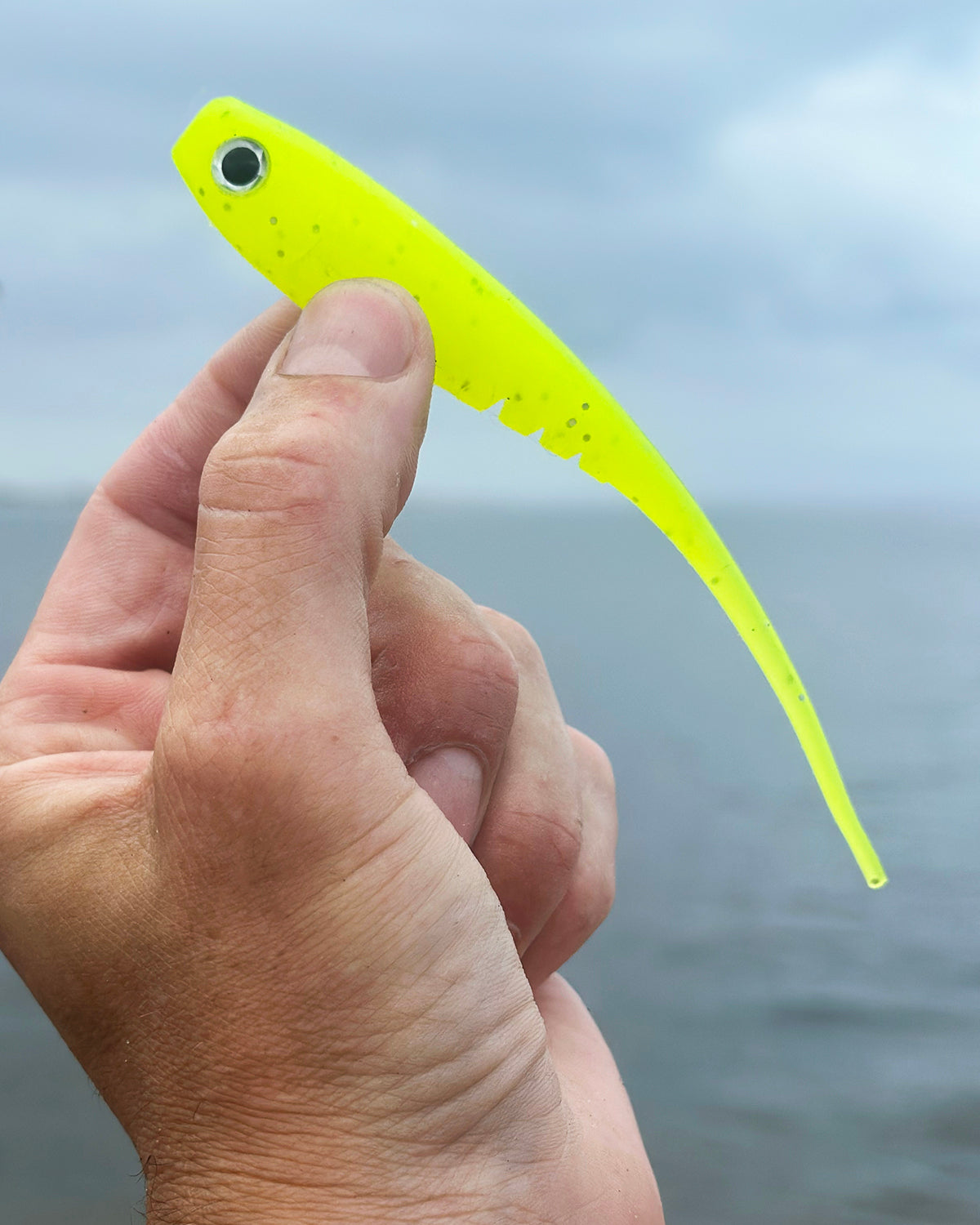 Bluff Lures Sea Funk 5.5" (5 Pack)